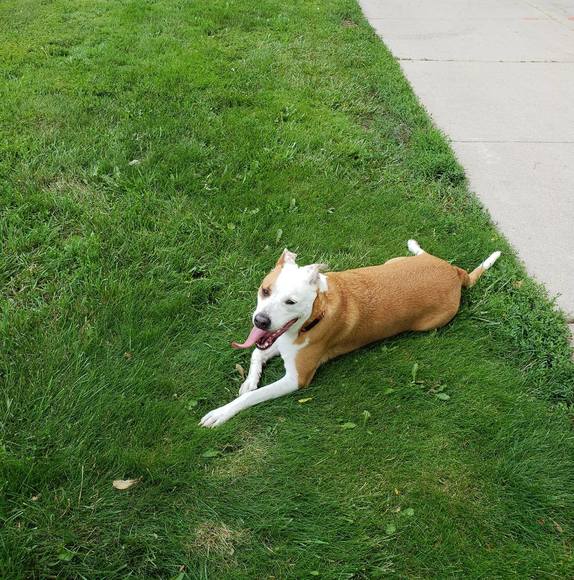 Meet your Posher, James - Picture 1 of 1